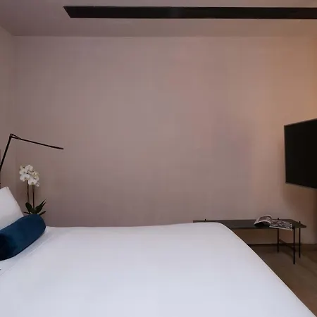 Ξενοδοχείο Rosselli Ax Privilege
