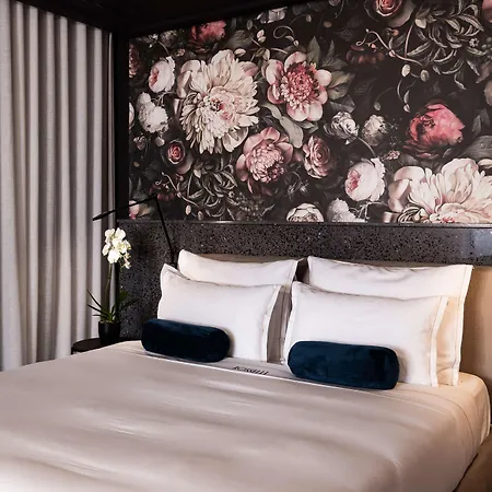 Rosselli Ax Privilege 5*